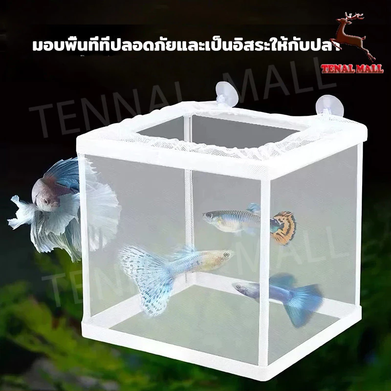 กล่องตาข่ายแยกเพาะพันธุ์ปลา กุ้ง สัตว์น้ำขนาดเล็ก thumbnail 3