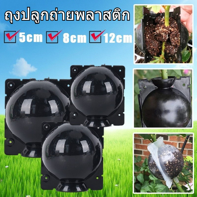 ถุงตอนกิ่งพลาสติกเกรด A ไซส์ 5/8/12 ซม. แข็งแรง ทนแดด ทนฝน ใช้ซ้ำได้