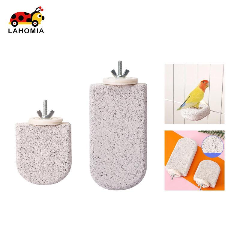 [Lahomia] Bird Calcium Tooth Chew Toy Cage Perch Stand สําหรับ Conure Squirrel Finch