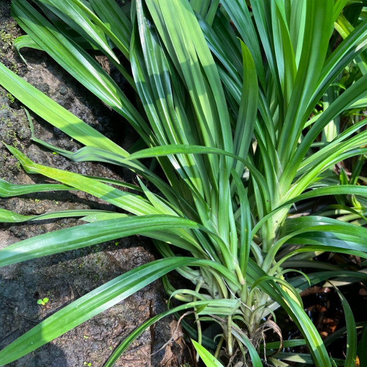 มุมมอง 2