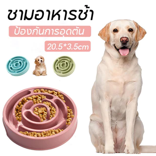 🔥ชามอาหารช้า🔥ชามอาหารฝึกให้ทานช้าลง สําหรับฝึกสัตว์เลี้ยง สุนัข แมว ชามอาหารแมว ชามอาหารสุนัข