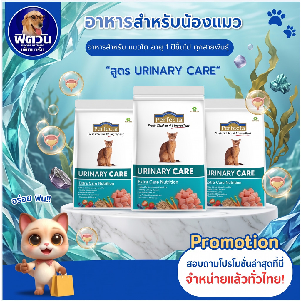 Perfecta URINARY CARE (ADULT) อาหารแมวโต1ปีขึ้นไป สูตรลดความเสี่ยงโรคนิ่ว 400 G.{อาหารแมวเม็ด}