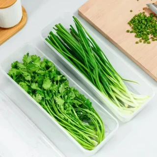 2/5/10 ชิ้นตู้เย็นกล่องเก็บสําหรับ Scallion และ Cilantro - กล่องถนอมอาหารสี่เหลี่ยมพร้อมฝาปิด