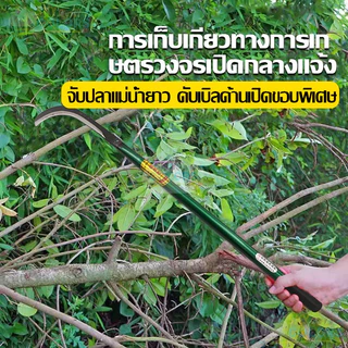 เคียวเหล็กเมกานิสแท้หลายขนาด ด้ามเหล็กด้ามยาว คมกริบน้ำหนักเบามือ ใช้สำหรับตัดหญ้า ตัดแต่งกิ่งไม้ สวน ขอถางหญ้า