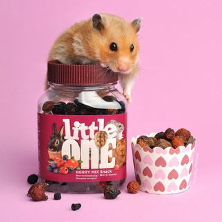 Little one ขนม สำหรับ สัตว์ฟันแทะ สัตว์เล็ก กระรอก แกสบี้ บุชเบบี้ ชูการ์ไกลเดอร์ กระต่าย ชินชิล่า
