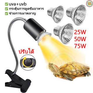 หลอดไฟให้ความร้อนสัตว์ หลอดไฟเซรามิก หลอดไฟ UVB/UVA ให้รังสี ขั้วหลอดไฟให้ความร้อนสัตว์ อายุการใช้งานยาวนาน
