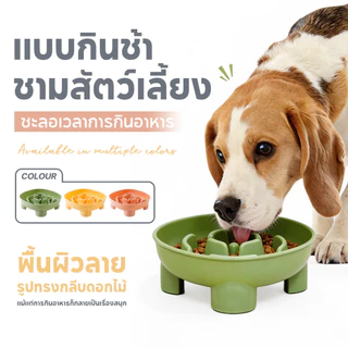 🔥ชามอาหารช้า🔥ชามอาหารฝึกให้ทานช้าลง สําหรับฝึกสัตว์เลี้ยง สุนัข แมว ชามอาหารแมว ชามอาหารสุนัข