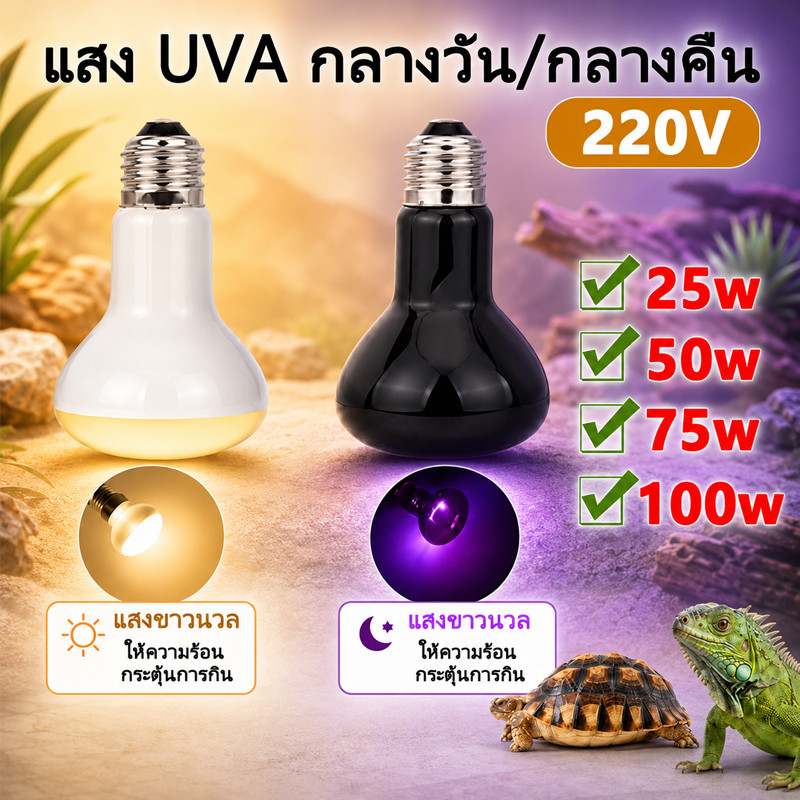 หลอดไฟ UVA ให้ความร้อน กลางวันกลางคืน สำหรับสัตว์เลื้อยคลาน 220V 25/50/75/100W ใช้กับกิ้งก่า งู เต่า ตุ๊กแก