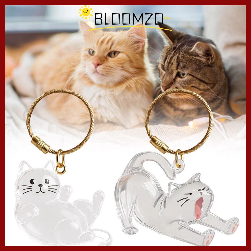 CODBLOOMZO พวงกุญแจเก็บขนแมว, ของขวัญโปร่งใส Pet Fur Keepsake Capsule, น่ารัก DIY ตกแต่งแบบพกพาของที่ระลึกพวงกุญแจสัตว์เลี้ยง Mementos