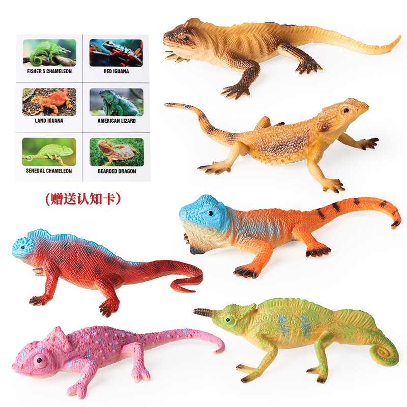 โมเดลสัตว์เลื้อยคลานแข็งเหมือนจริง Land Iguana Chameleon Bearded Dragon Decor พร้อมการ์ด