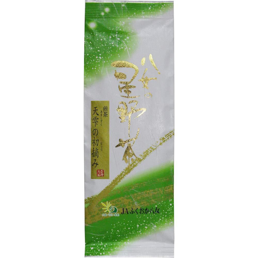 Yame Tea Hoshino Tea Premium Green Tea First Harvest of Amatsubu Delicious Tea 100g Yamecha Ocha Jap