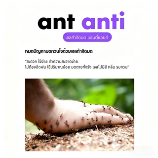 Antiant เจลกำจัดมด แอนติแอนท์ เหยื่อกำจัดมด เจลล่อมด หยดเดียวตายยกรัง 50g/30g เพิ่มปริมานขึ้น
