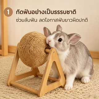 ของเล่นกระต่าย ของเล่นฟันกรามกระต่าย ของเล่นลูกบอลป่าน ติดตั้งง่าย ปลดปล่อยพลังงาน ทำความสะอาดฟัน