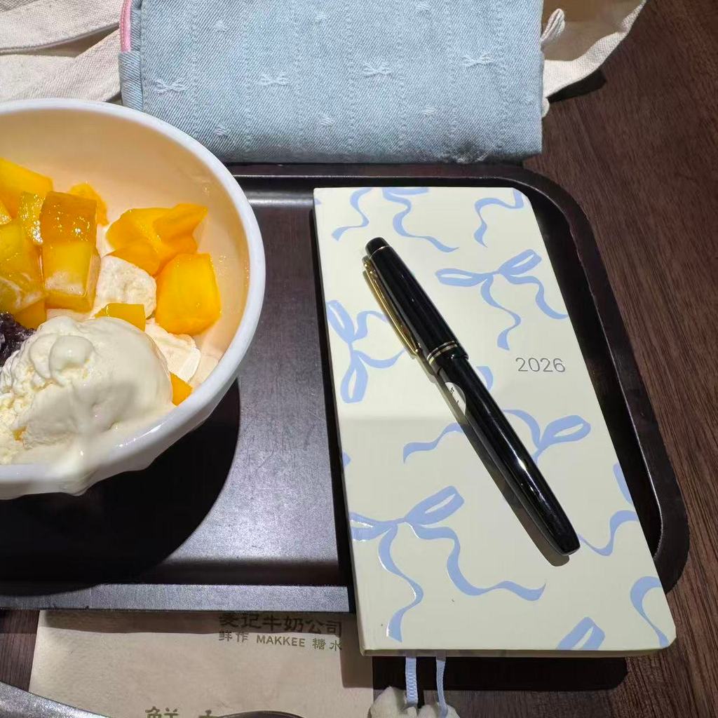 planner 2026 planner 2026 Bowknot Handbook All Year Book Girl Weekly Planner Diary Schedule Punch-in