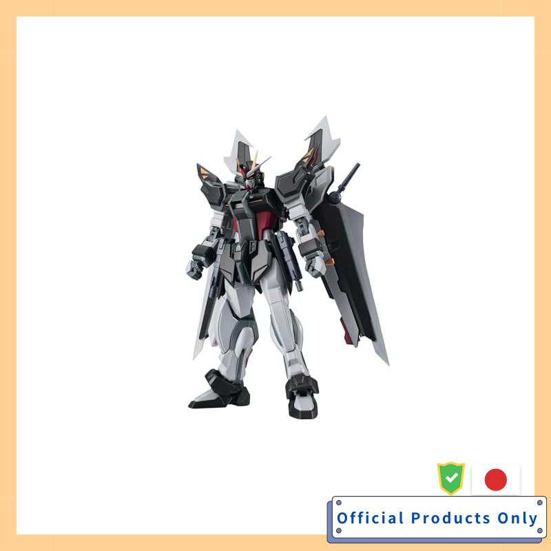 TAMASHII NATIONS ROBOT Spirits Mobile Suit Gundam SEED C.E.73 -STARGAZER- GAT-X105E + AQM/E-X09S Str