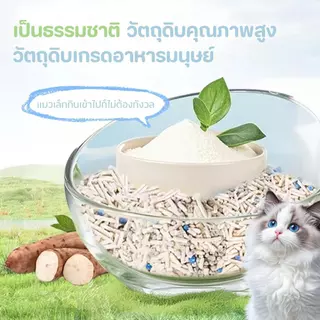 8L ทรายแมอมันสำปะหลัง ทำจากมันสำปะหลังธรรมชาติ ออร์แกนิค100% Cat Litter จับตัวเป็นก้อนเร็ว