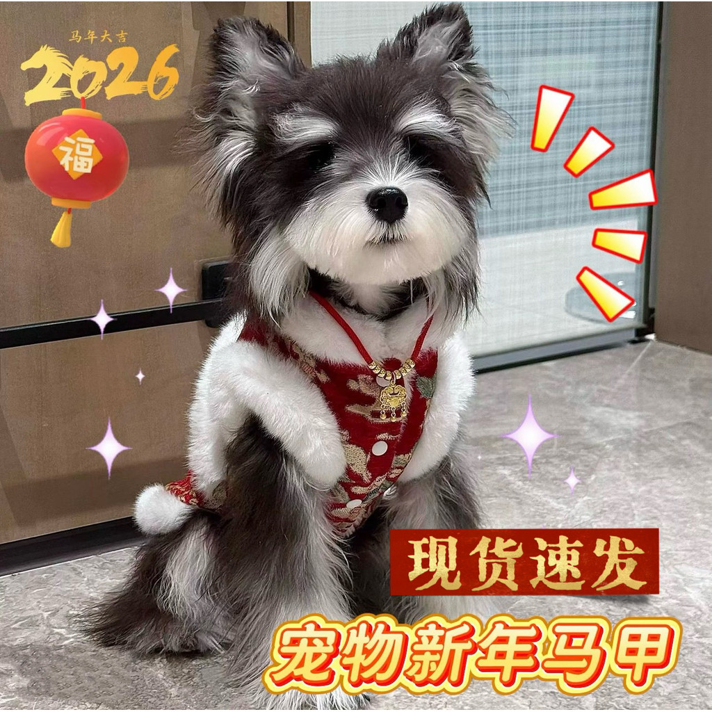 สไตล์เสื้อผ้าสุนัข A Plus หนาฤดูหนาวผ้าฝ้ายเบาะ Schanery Bitter Bear ตุ๊กตาสัตว์เลี้ยงแมว Mi ปีใหม่ 