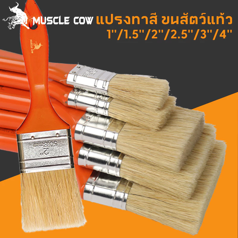 MUSCLE COW (ยกกล่อง 12 ชิ้น) แปรงทาวานิช แปรงทายูรีเทน แปรงขนอ่อน ขนาด 1 / 1.5 / 2 / 2.5 / 3 / 4 นิ้ว