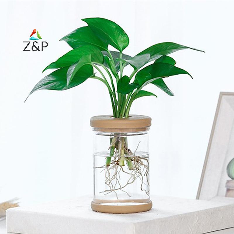 Z&P กระถางดอกไม้โปร่งใส Hydroponic อัตโนมัติดูดซับน้ํากระถางดอกไม้พลาสติก COD