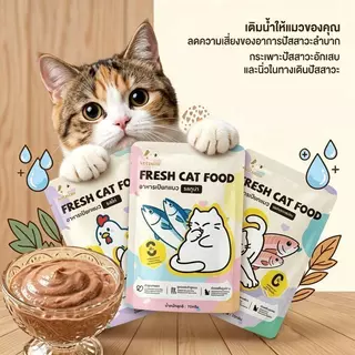 【Ketzuzu】70G*12แพ็ค อาหารเปียกแมว ช่วยเสริมการดื่มน้ำ เนื้อละเอียดไม่ต้องเคี้ยว เหมาะกับแมวทุกสายพันธุ์