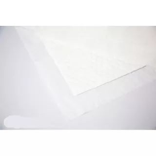 Blue Pad Gel 10 pcs แผ่นรองซับกันเปื้อน บลู แพด เจล 45×70 ซม. 10 แผ่น