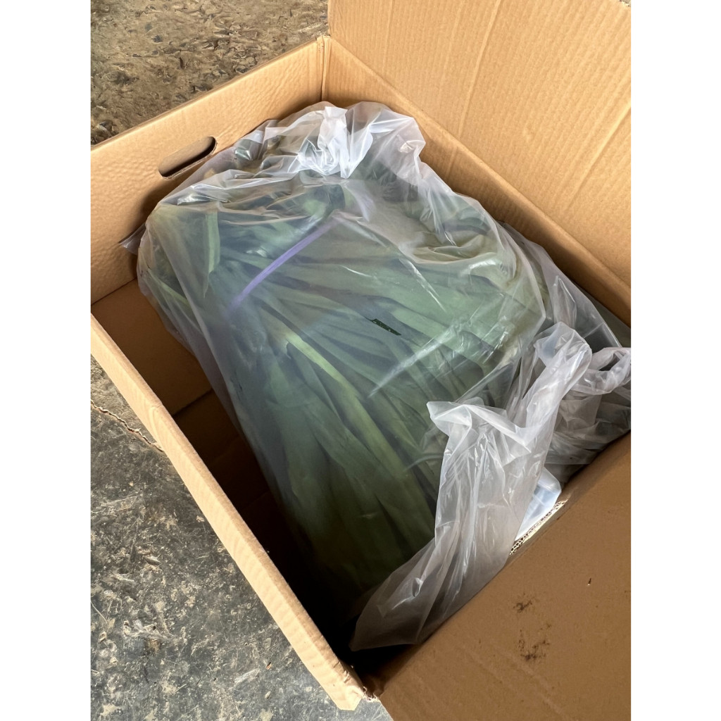 มุมมอง 5