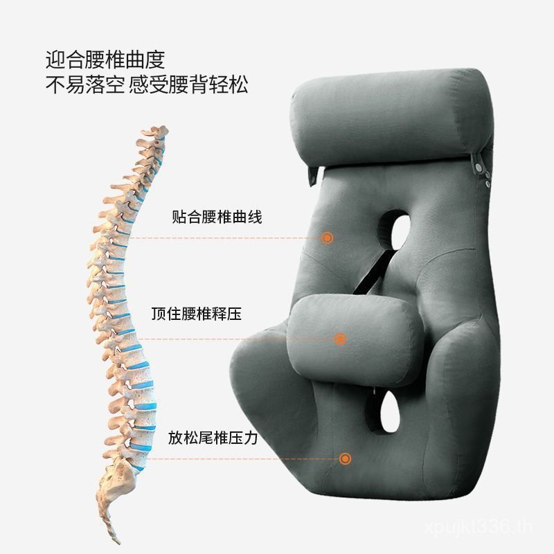 เอวสนับสนุนความสูงคอสนับสนุนเบาะหลังที่มีประโยชน์เครื่องมือตามหลักสรีรศาสตร์เก้าอี้อยู่ประจําเอวสนับ