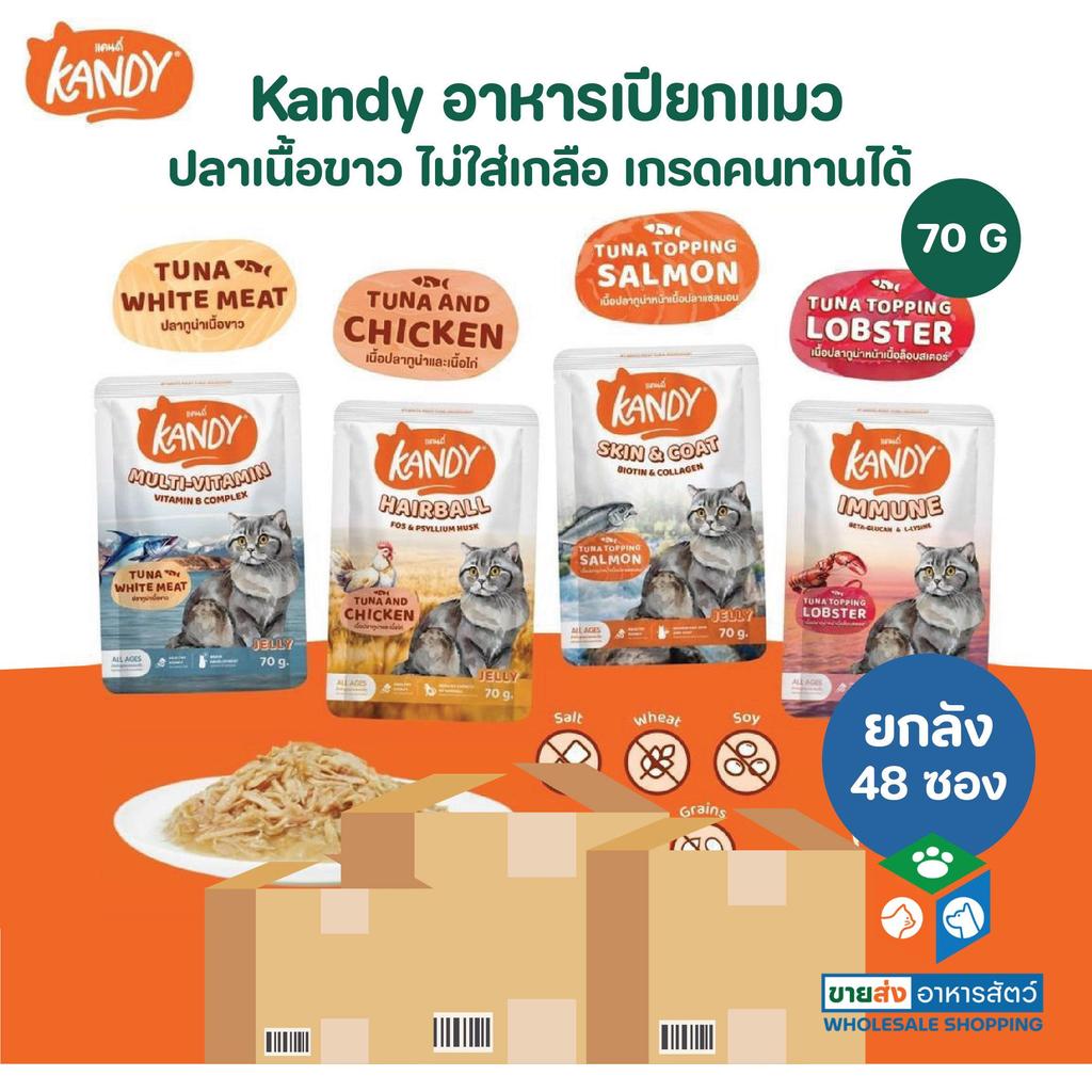 [ยกลัง 48 ซอง] Kandy แคนดี้ อาหารเปียกแมว ไม่ใส่เกลือ ผลิตจากปลาเนื้อขาว ขนาด 70 กรัม