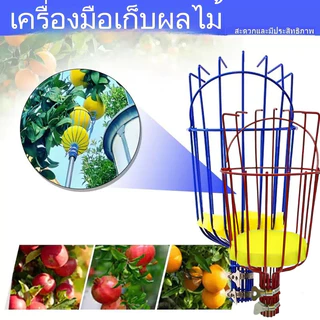 CF.HOME ที่สอยผลไม้ สามารถถอดออกได้ ตะกร้าลึก คุณภาพดี ทันสมัย เก็บผลได้เยอะ พร้อมจัดส่งสินค้า