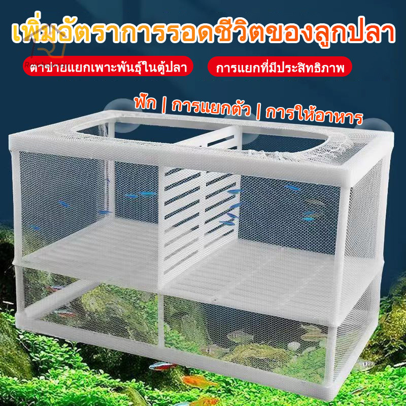 🐠ตาข่ายเเยกปลา กล่องแยกเลี้ยงปลา ฟักไข่ปลา สำหรับพันธุ์ปลาต่อสู้ แยกลูกกุ้ง และแยกปลาที่กำลังป่วย