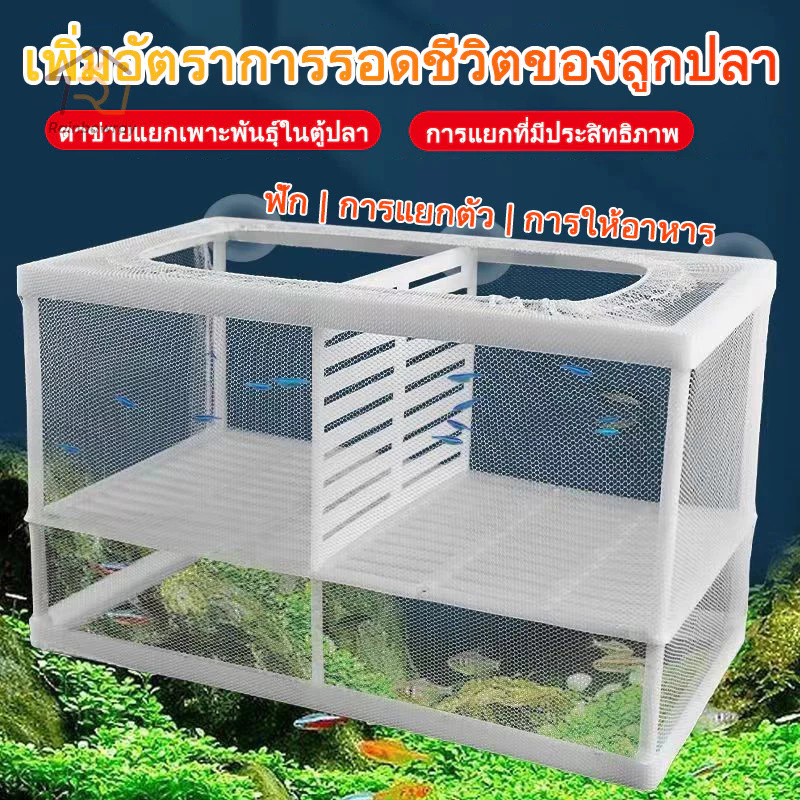 🐠ตาข่ายเเยกปลา กล่องแยกเลี้ยงปลา ฟักไข่ปลา สำหรับพันธุ์ปลาต่อสู้ แยกลูกกุ้ง และแยกปลาที่กำลังป่วย