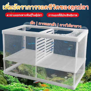 🐠ตาข่ายเเยกปลา กล่องแยกเลี้ยงปลา ฟักไข่ปลา สำหรับพันธุ์ปลาต่อสู้ แยกลูกกุ้ง และแยกปลาที่กำลังป่วย