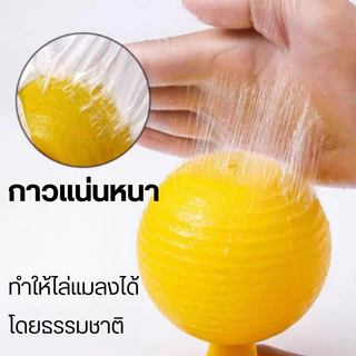 🔥รุ่นอัพเกรด 🔥ได้ผล3ปี🦟ลูกบอลดักแมลง กวาทรงพลัง กันน้ำกันแดด กาวดักแมลงหวี่ ที่ดักแมลงวันทอง กาวดักแมลงวัน ไม่ละลายกาว