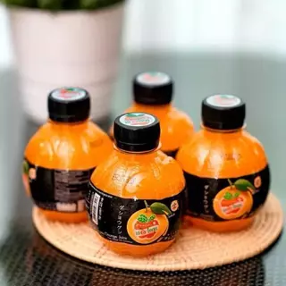 (ขายยกลัง 48 ขวด) น้ำผลไม้ น้ำส้ม น้ำลิ้นจี่ น้ำสตรอเบอร์รี่ องุ่น สัปปะรด เลม่อน เดอะโชกุน 220 ml.