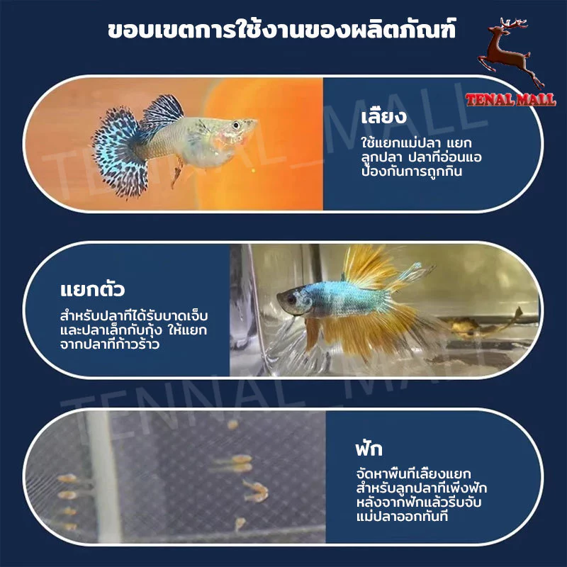 กล่องตาข่ายแยกเพาะพันธุ์ปลา กุ้ง สัตว์น้ำขนาดเล็ก thumbnail 10