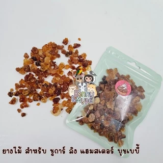 Arabica ยางไม้ธรรมชาติ อาราบิก้า สำหรับสัตว์เลี้ยงลูกด้วยนม ชูการ์ไกรเดอร์ แฮมสเตอร์ กระรอก ชูก้า ชูการ์ไกลเดอร์