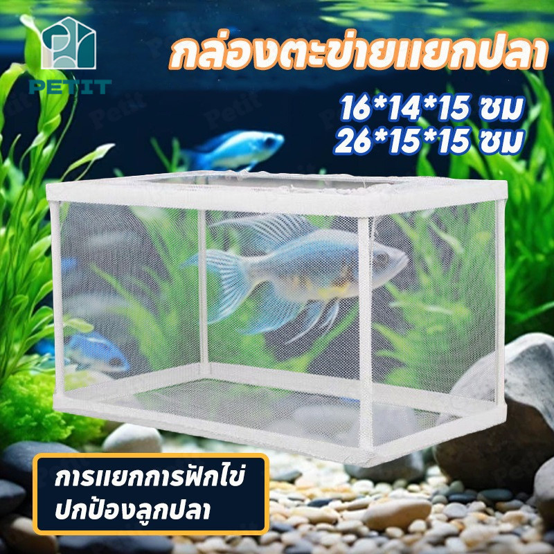 กล่องแยกปลา แบบตาข่าย กล่องแยกลูกปลา สำหรับตู้ปลา เพาะพันธุ์ ฟักไข่ปลา จัดการเลี้ยงปลา