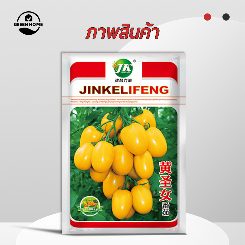 มะเขือเทศ เชอรี่🎯สีเหลือง🎯200เมล็ด เมล็ดพันธุ์ มะเขือเทศ เชอรี่ 🎈ปลูกง่าย🌱ผลดก🌱สีสวย🎈ทานอร่อย - รูปที่ 4