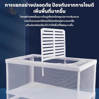 🐠ตาข่ายเเยกปลา กล่องแยกเลี้ยงปลา ฟักไข่ปลา สำหรับพันธุ์ปลาต่อสู้ แยกลูกกุ้ง และแยกปลาที่กำลังป่วย