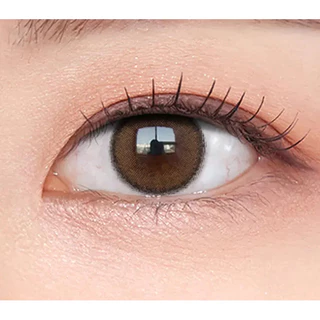OLENS VIVIRING Brown 1Day 20P คอนแทคเลนส์