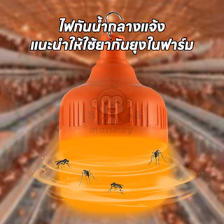 ไฟล่อแมลงต่างๆ ไฟล่อแมงดา แผงโซล่าเซลล์ กันน้ำ LED หลอดสีแดง/ส้ม เปิดปิดอัตโนมัติ ไล่แมลง กันน้ำ