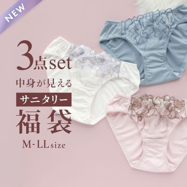 SHIROHATO กางเกงในอนามัยสุดคุ้ม 3 ชิ้น (ขนาด M-LL)(03SANITA5P)1