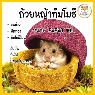 Hambit. ถ้วยหญ้า Timothy ลับฟัน แทะเพลิน 🦷 มี 3 รสชาติ (มันม่วง/ฟักทอง/หญ้า) สำหรับแฮมสเตอร์ กระต่าย แกสบี้