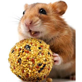 Hambit. ลูกบอลธัญพืชรวม ขนมแฮมสเตอร์ นกแก้ว สัตว์ฟันแทะ ช่วยลับฟัน ธรรมชาติ 100% (ขนาด 4x4 ซม.)