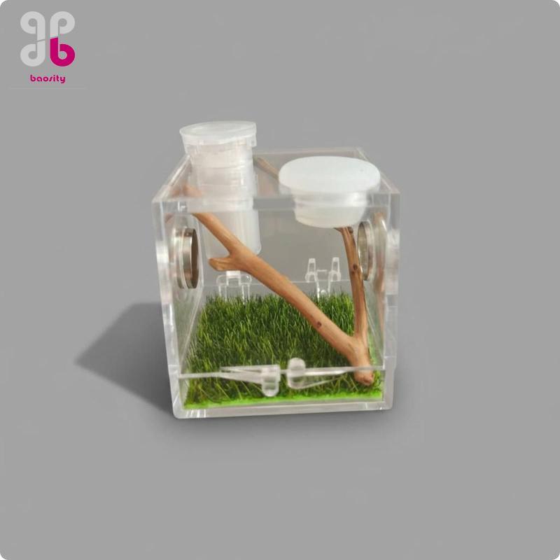 [Baosity] Jumping Arachnid Terrarium คริสตัลสูงล้างอะคริลิค Arachnid Enclosure Easy Assembly ตู้กินแมลง Habitat สําหรับให้อาหาร, Breed
