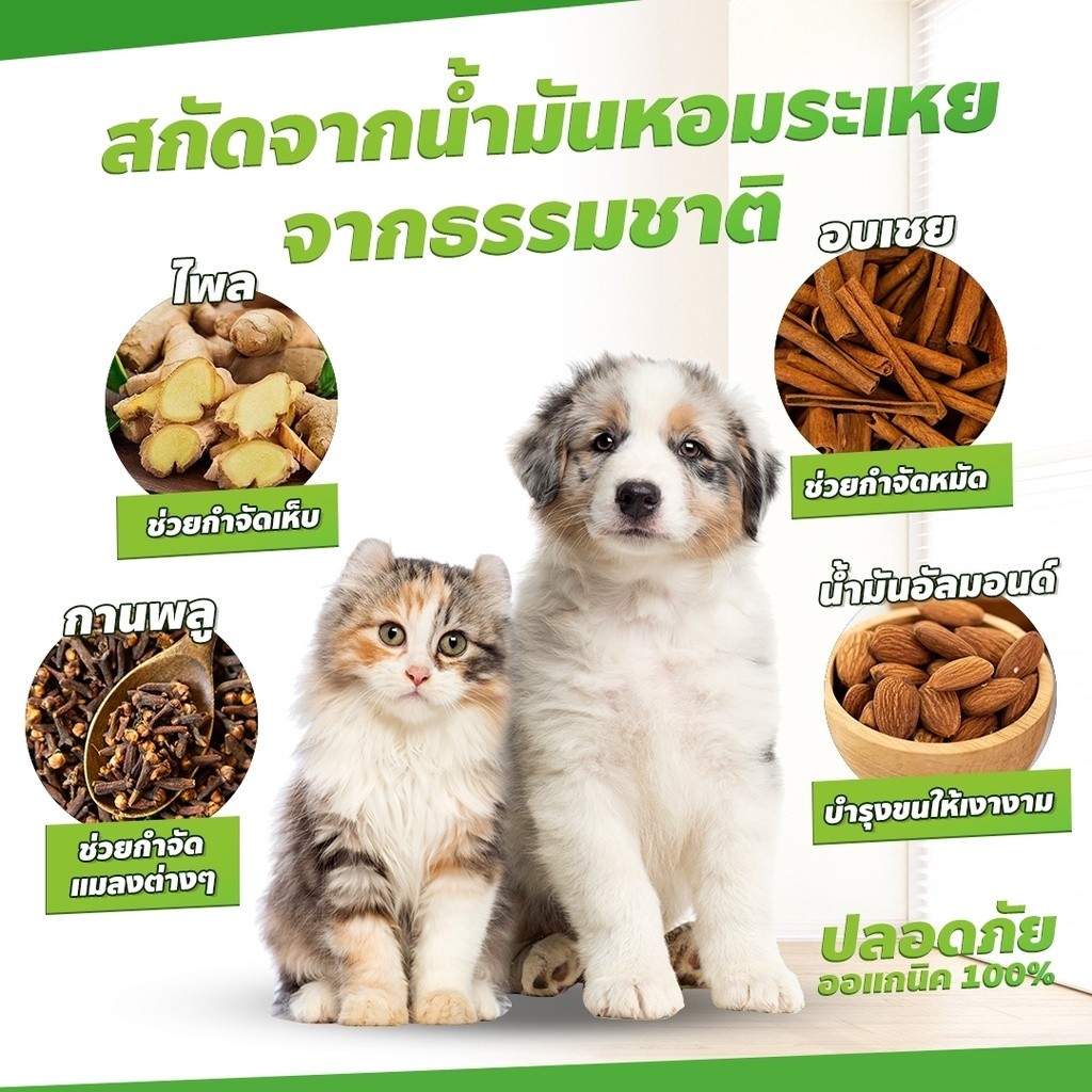 1วินาทีฆ่าเห็บหมัด ยาฆ่าเห็บหมัด สเปรย์กำจัดเห็บหมัด 500ml กำจัดเหาไรเห็บ หมัด ส่วนผสมพืช เสียชีวิต 100% - รูปที่ 5
