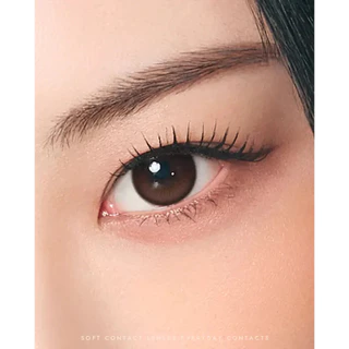 O-LENSE RAIN Mocha 1Month 2P คอนแทคเลนส์