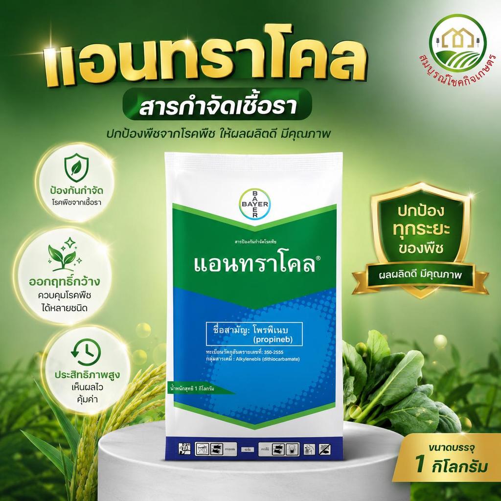 แอนทราโคล (โพรพิเนบ 70% WP) 1 กิโลกรัม สารกำจัดเชื้อรา ราน้ำค้าง แอนแทรคโนส ขอบใบแห้ง ช่วยรากเขียว ฉีดพืชได้ทุกชนิด