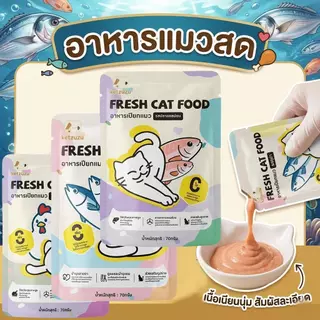 【Ketzuzu】70G*12แพ็ค อาหารเปียกแมว มูส เนื้อสัตว์แท้ โปรตีนสูง สุขภาพดี กินได้ทั้งแมวโตและลูกแมว แซลมอน รสทูน่า