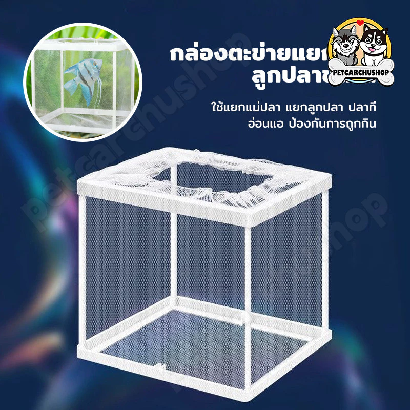 กล่องตาข่ายแยกปลา แยกลูกปลา กล่องฟักไข่ปลา thumbnail 6
